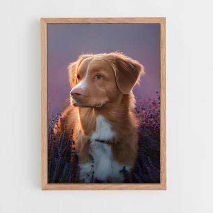 dog-7 cadre Bois clair