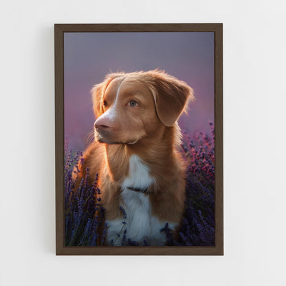 dog-7 cadre Bois foncé