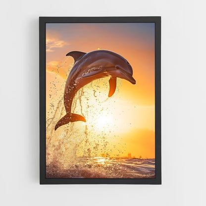 dolphin-2 cadre Noir