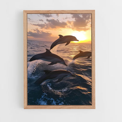 dolphin-3 cadre Bois clair