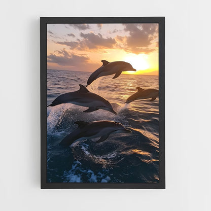 dolphin-3 cadre Noir