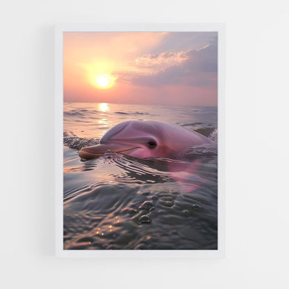 dolphin-5 cadre Blanc