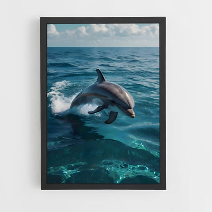 dolphin-9 cadre Noir