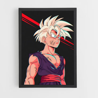 dragon-ball-1 cadre Noir