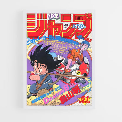 dragon-ball-12 cadre Blanc