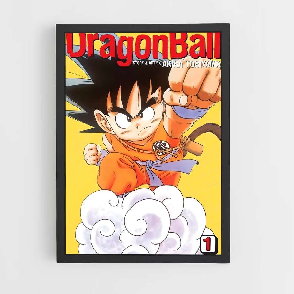 dragon-ball-3 cadre Noir