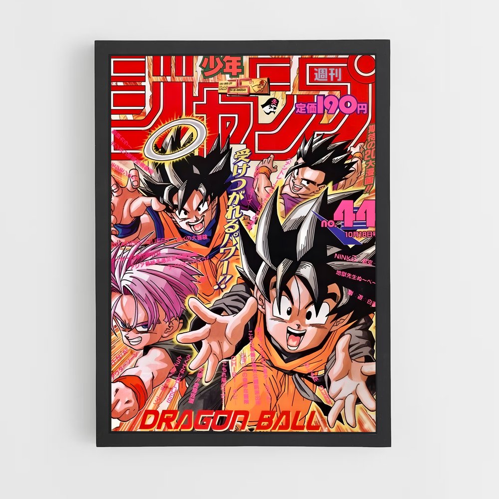 dragon-ball-7 cadre Noir