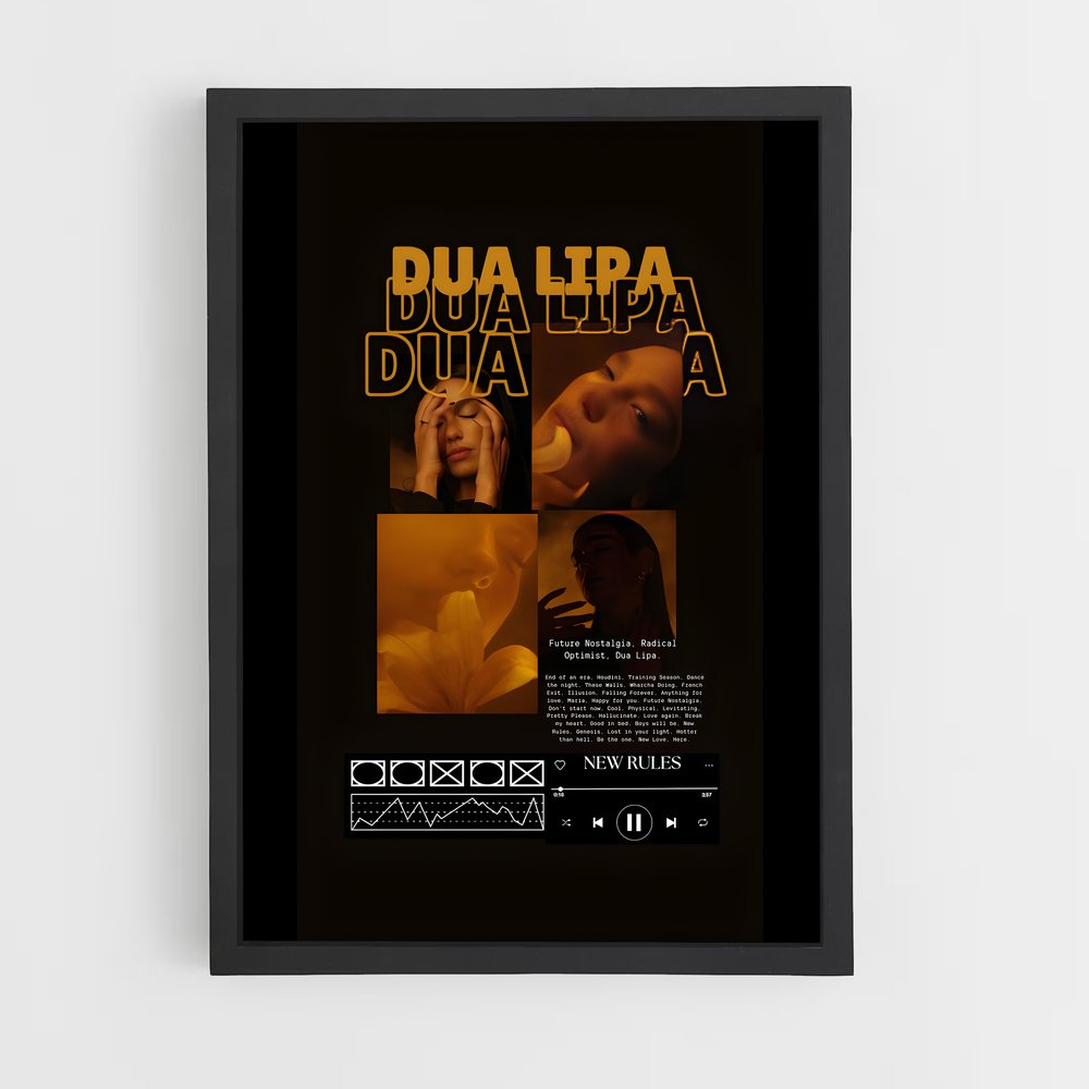 dua-lipa-25 cadre Noir