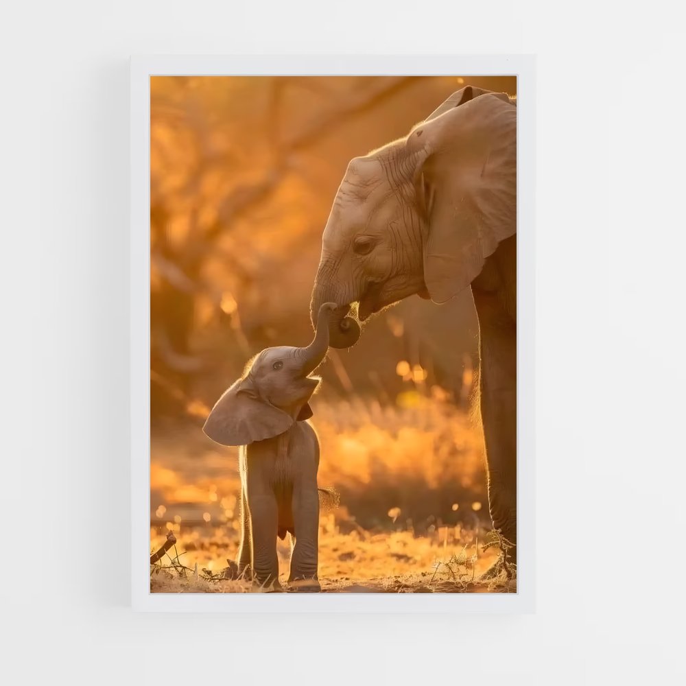 elephant-10 cadre Blanc