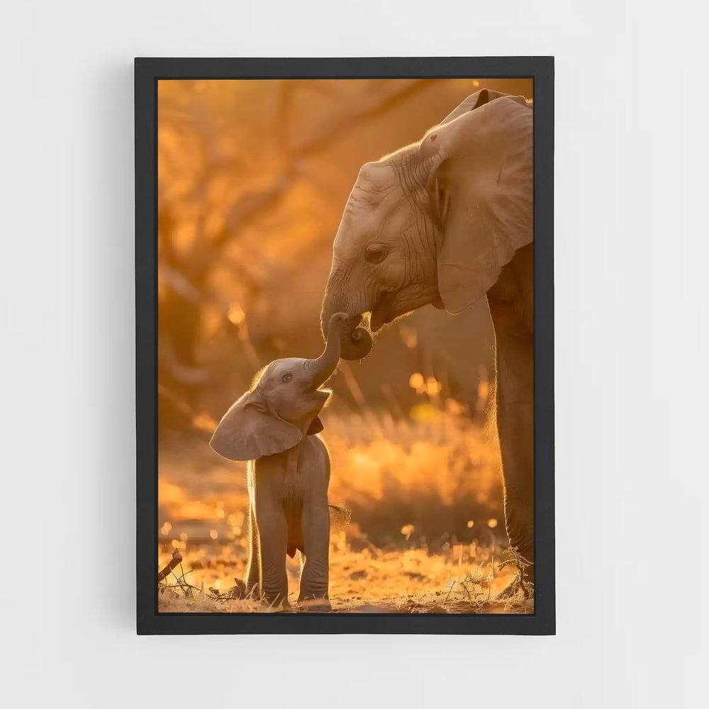 elephant-10 cadre Noir