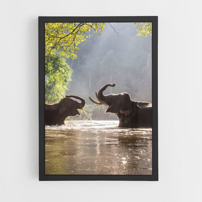 elephant-2 cadre Noir