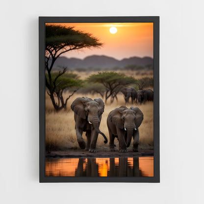elephant-4 cadre Noir