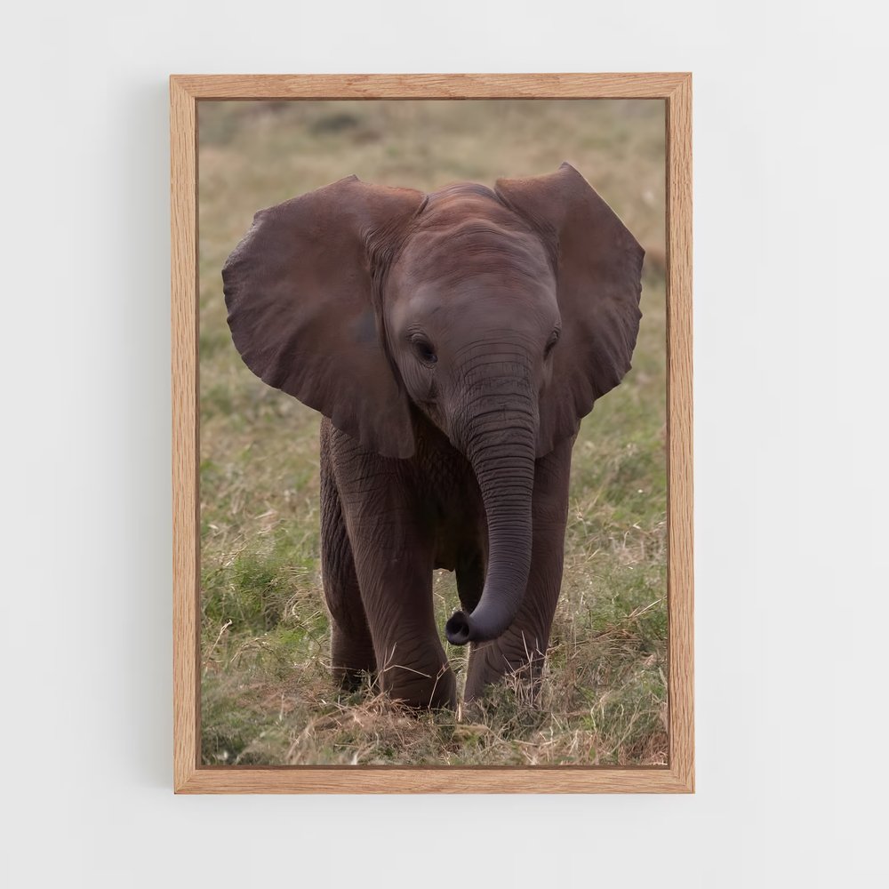 elephant-5 cadre Bois clair