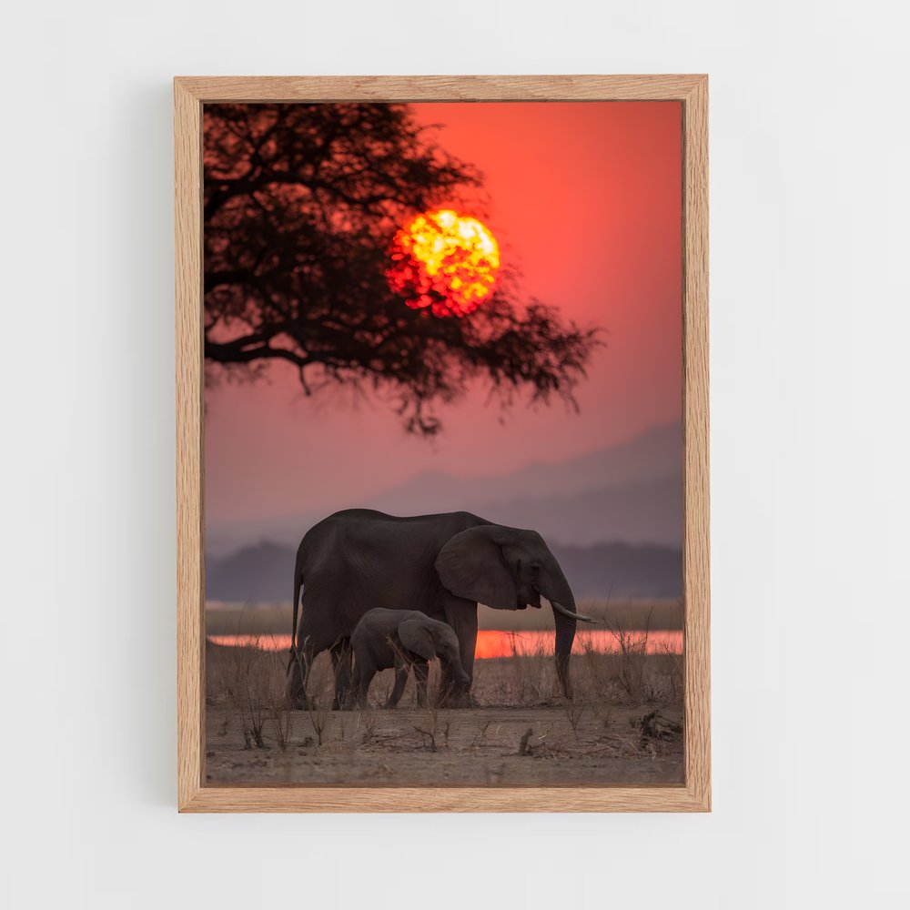 elephant-6 cadre Bois clair