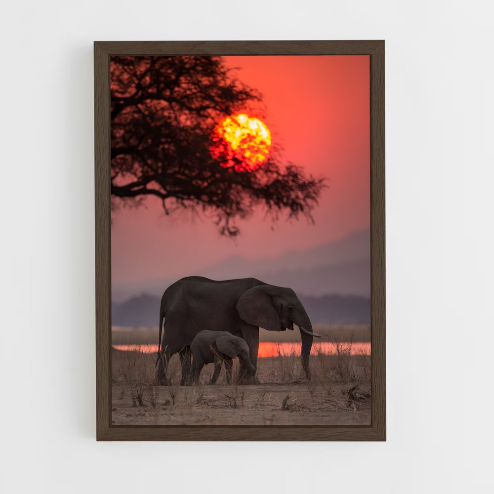 elephant-6 cadre Bois foncé