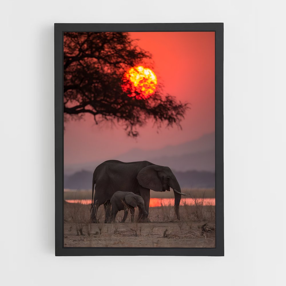 elephant-6 cadre Noir