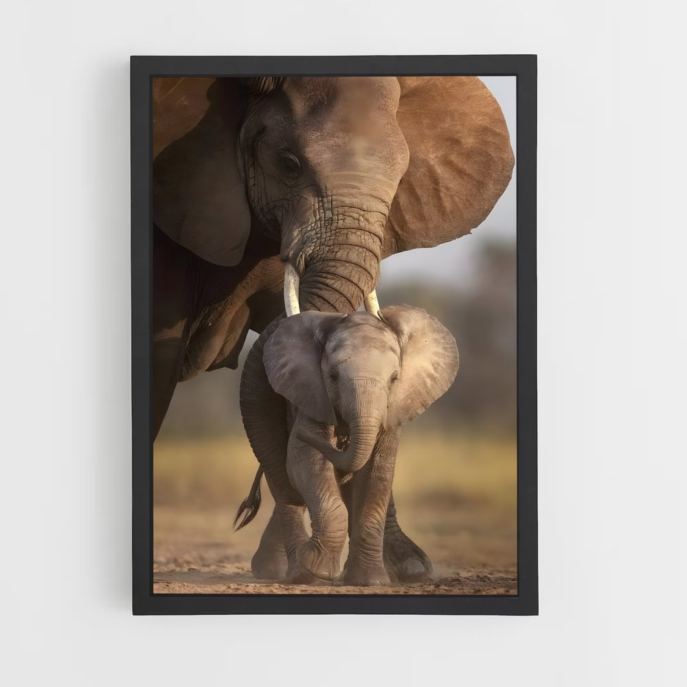 elephant-7 cadre Noir
