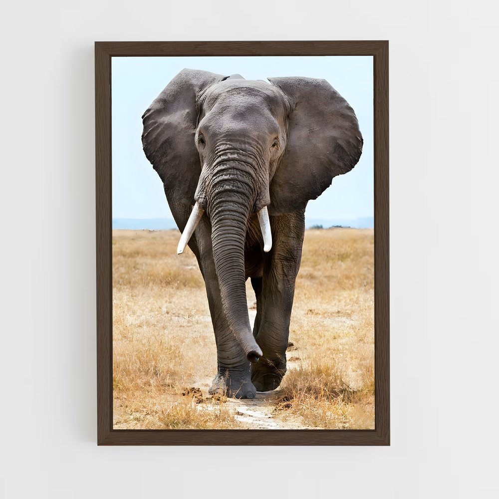 elephant-8 cadre Bois foncé
