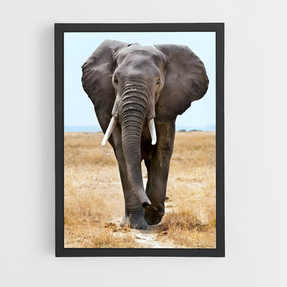 elephant-8 cadre Noir