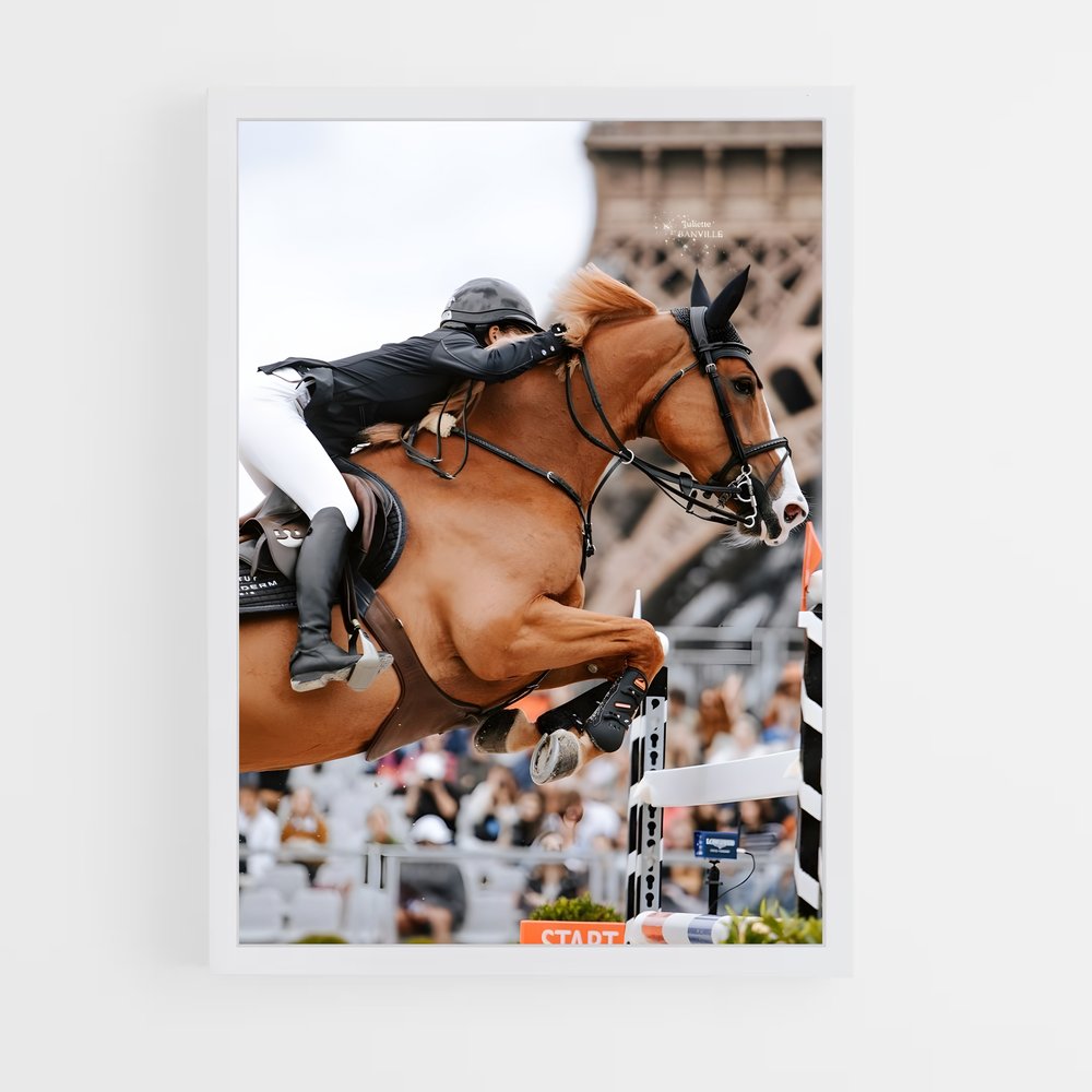 equitation-10 cadre Blanc