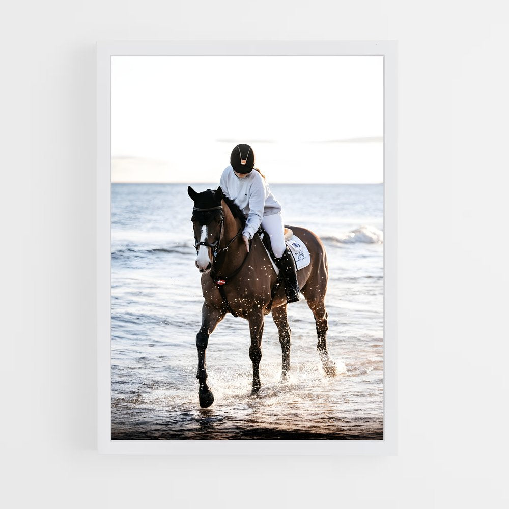 equitation-13 cadre Blanc