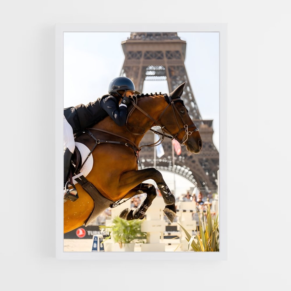 equitation-15 cadre Blanc