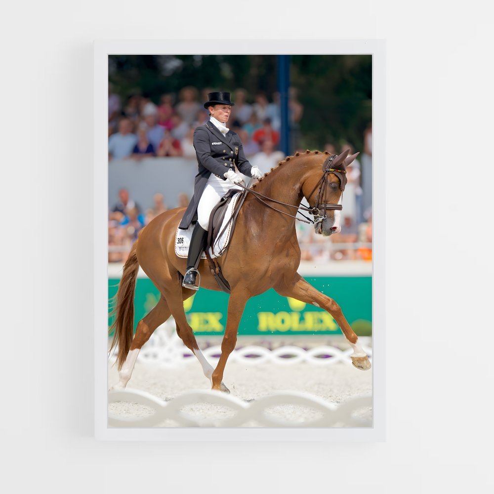 equitation-17 cadre Blanc