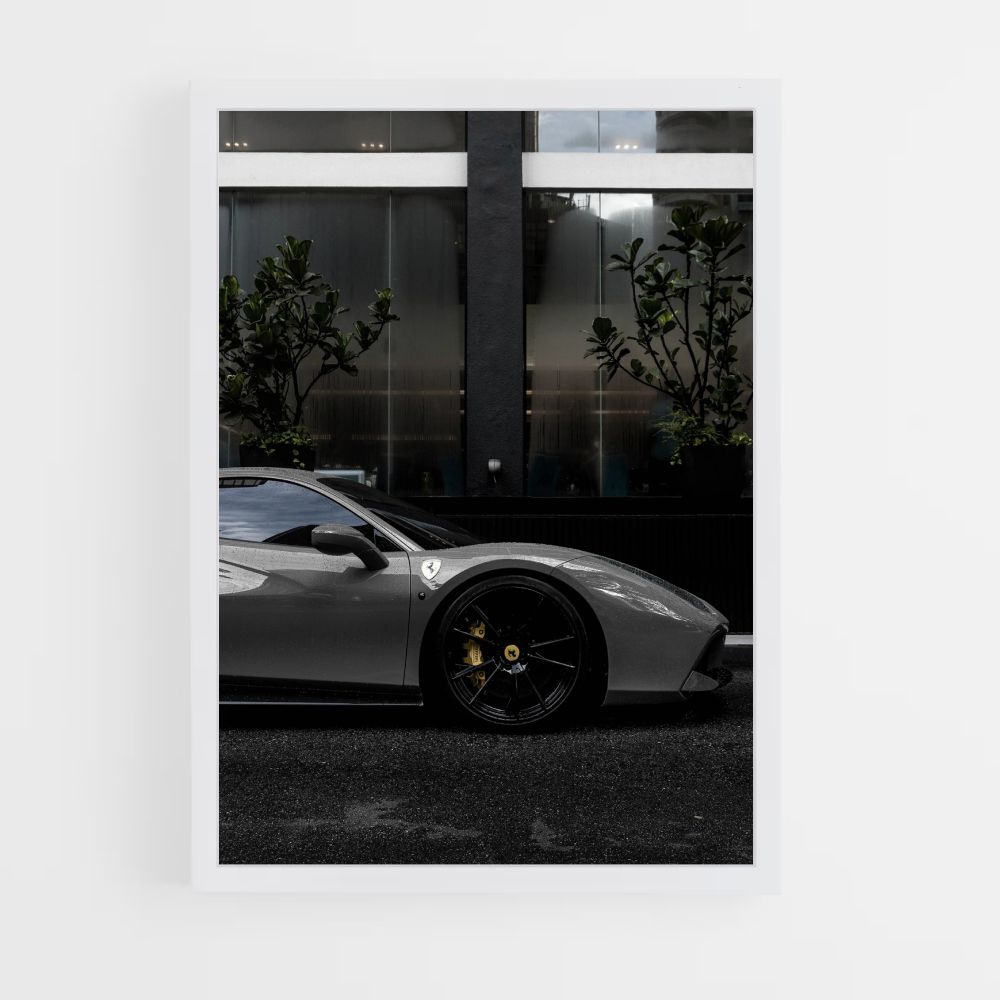 Poster F488