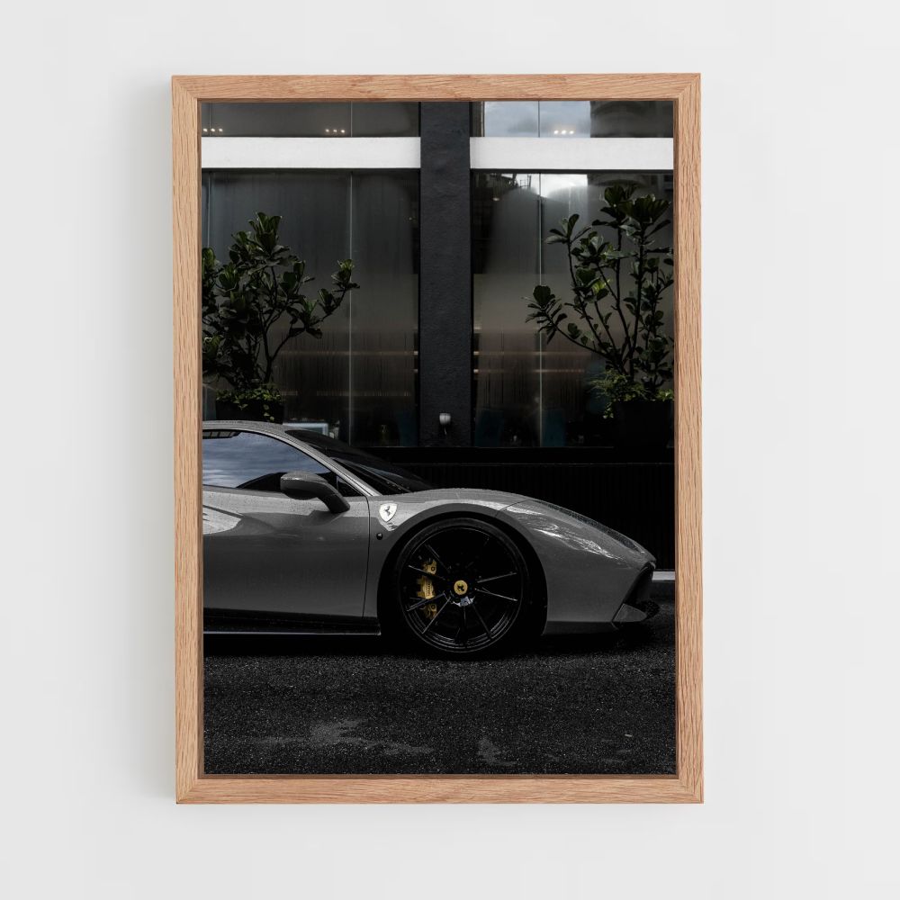 Poster F488