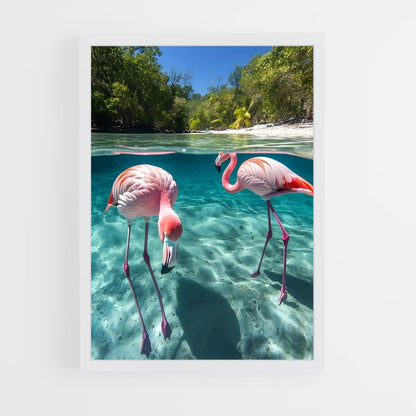 flamingo-2 cadre Blanc