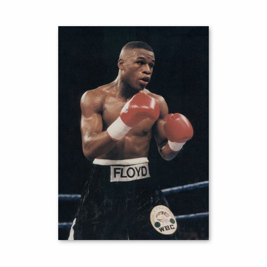 Poster Floyd