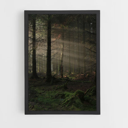 Poster Forêt Sombre