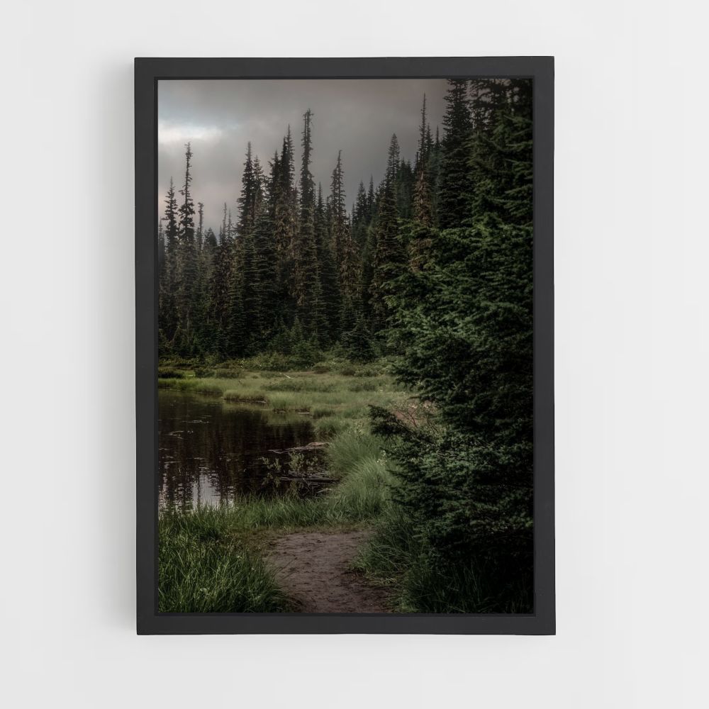 Poster Forêt Lac