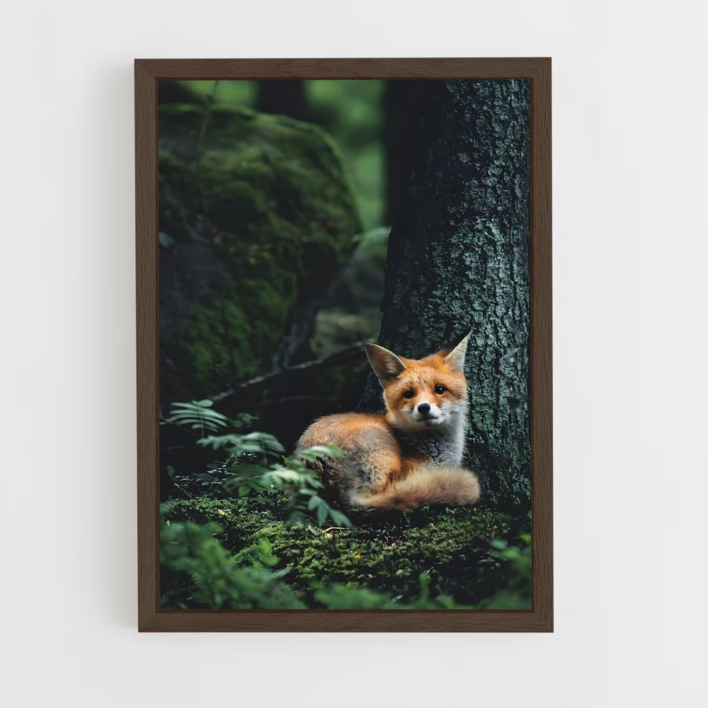 fox-1 cadre Bois foncé