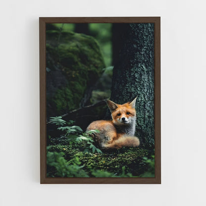 fox-1 cadre Bois foncé