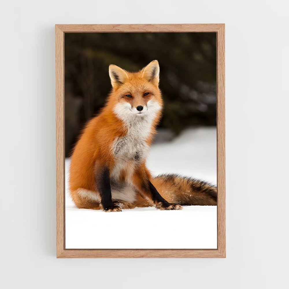 fox-3 cadre Bois clair