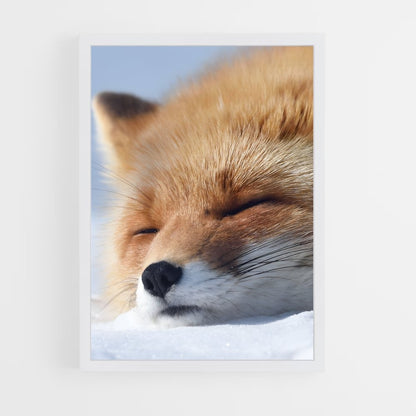 fox-5 cadre Blanc