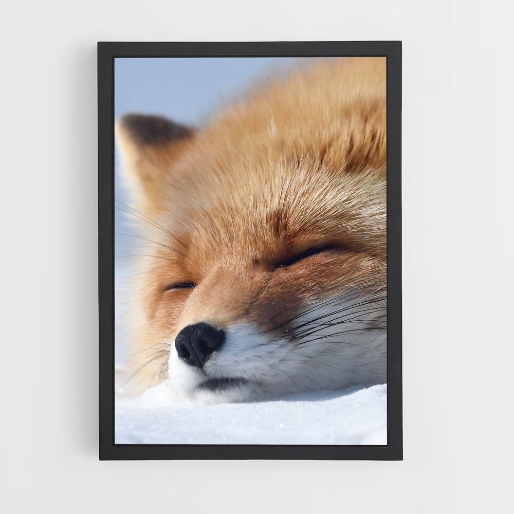 fox-5 cadre Noir