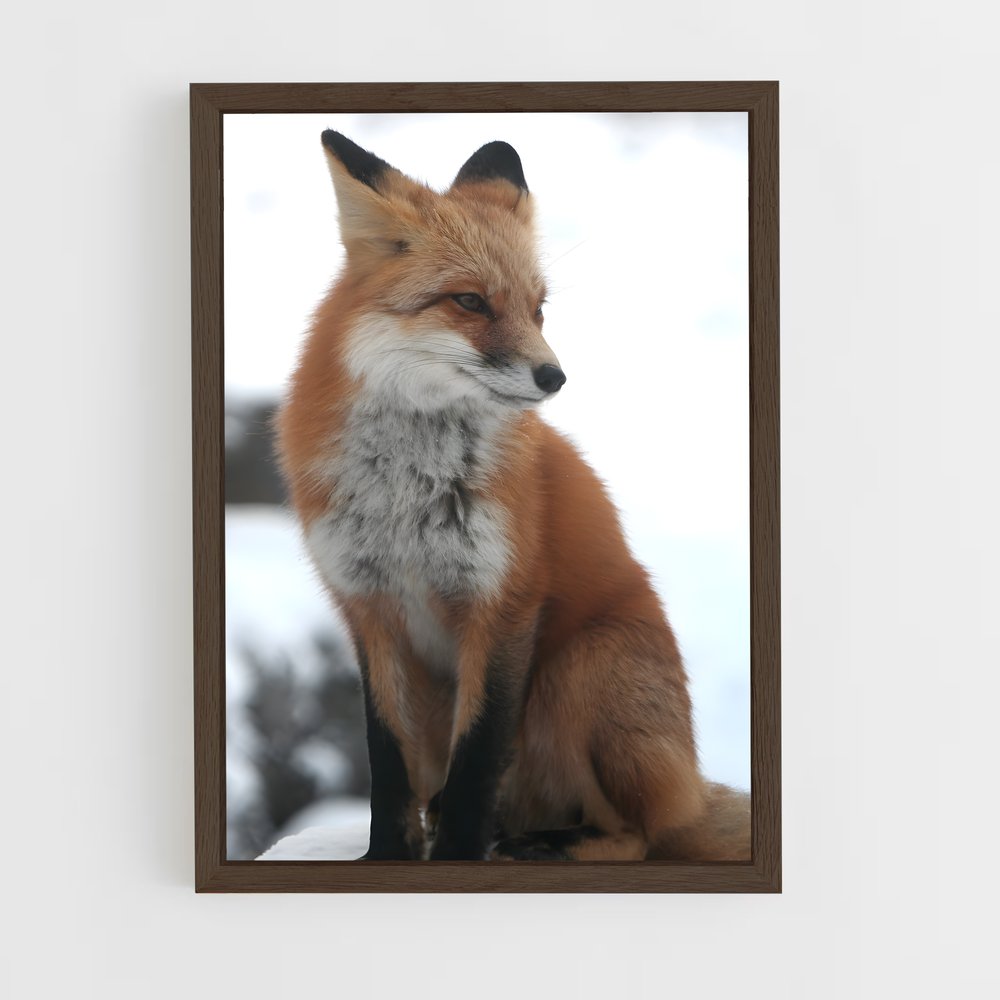 fox-8 cadre Bois foncé