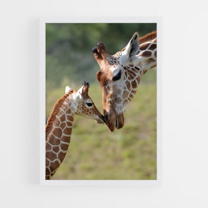giraffe-1 cadre Blanc