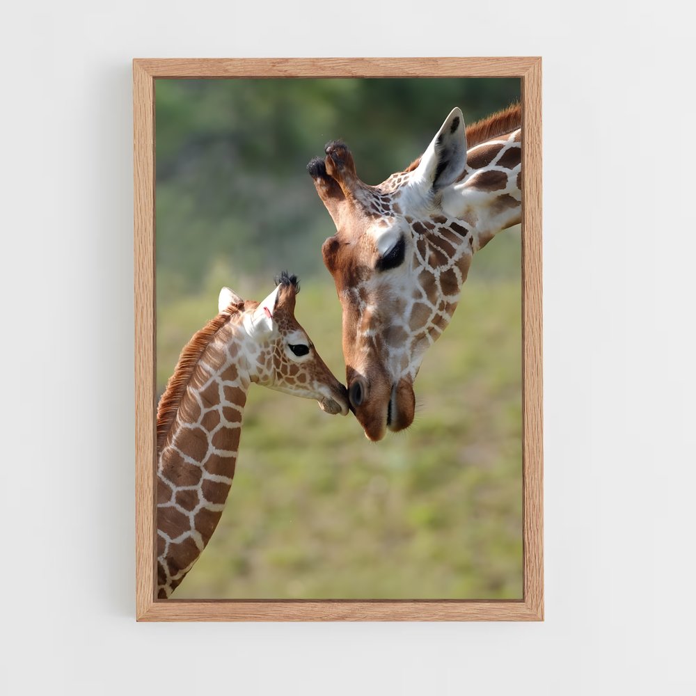 giraffe-1 cadre Bois clair