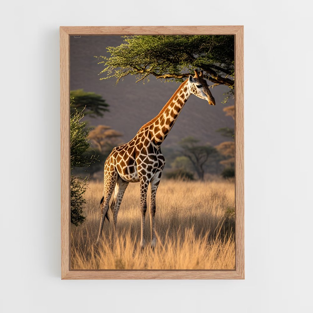 giraffe-2 cadre Bois clair