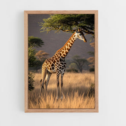 giraffe-2 cadre Bois clair