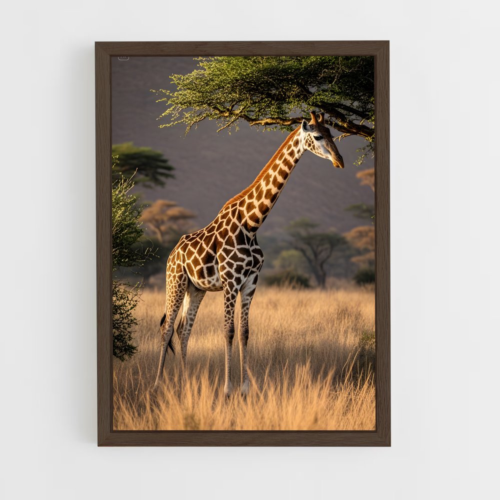 giraffe-2 cadre Bois foncé