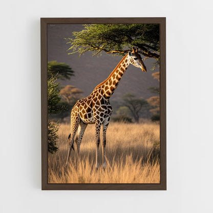 giraffe-2 cadre Bois foncé
