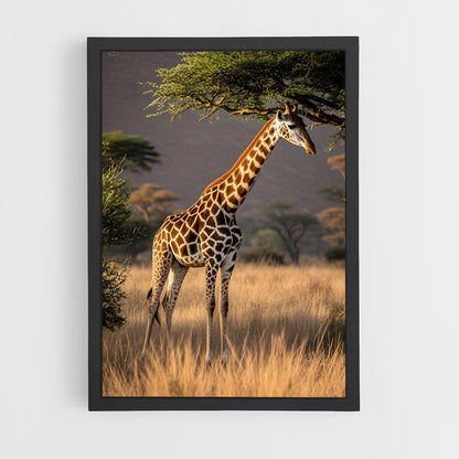 giraffe-2 cadre Noir