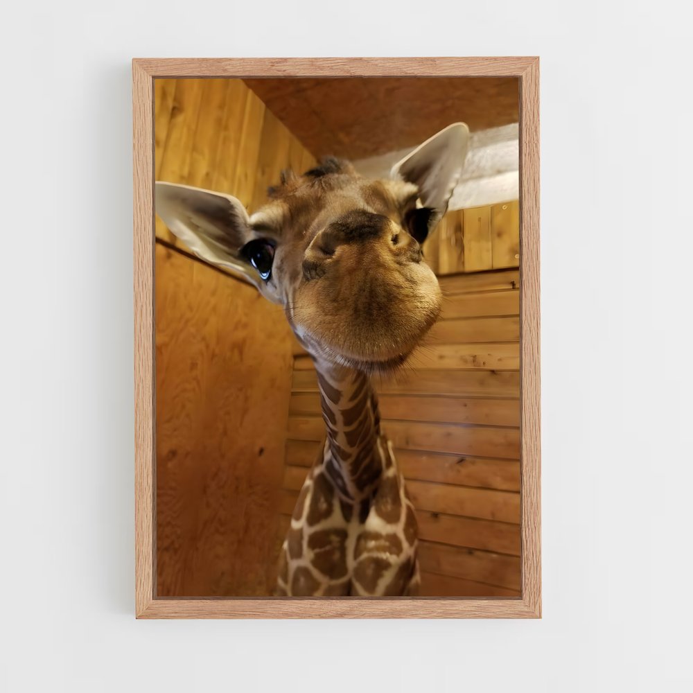 giraffe-6 cadre Bois clair