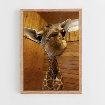 giraffe-6 cadre Bois clair