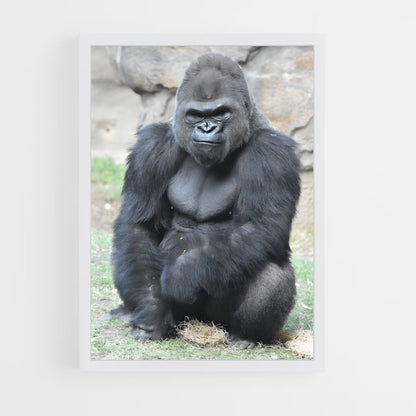 gorilla-1 cadre Blanc