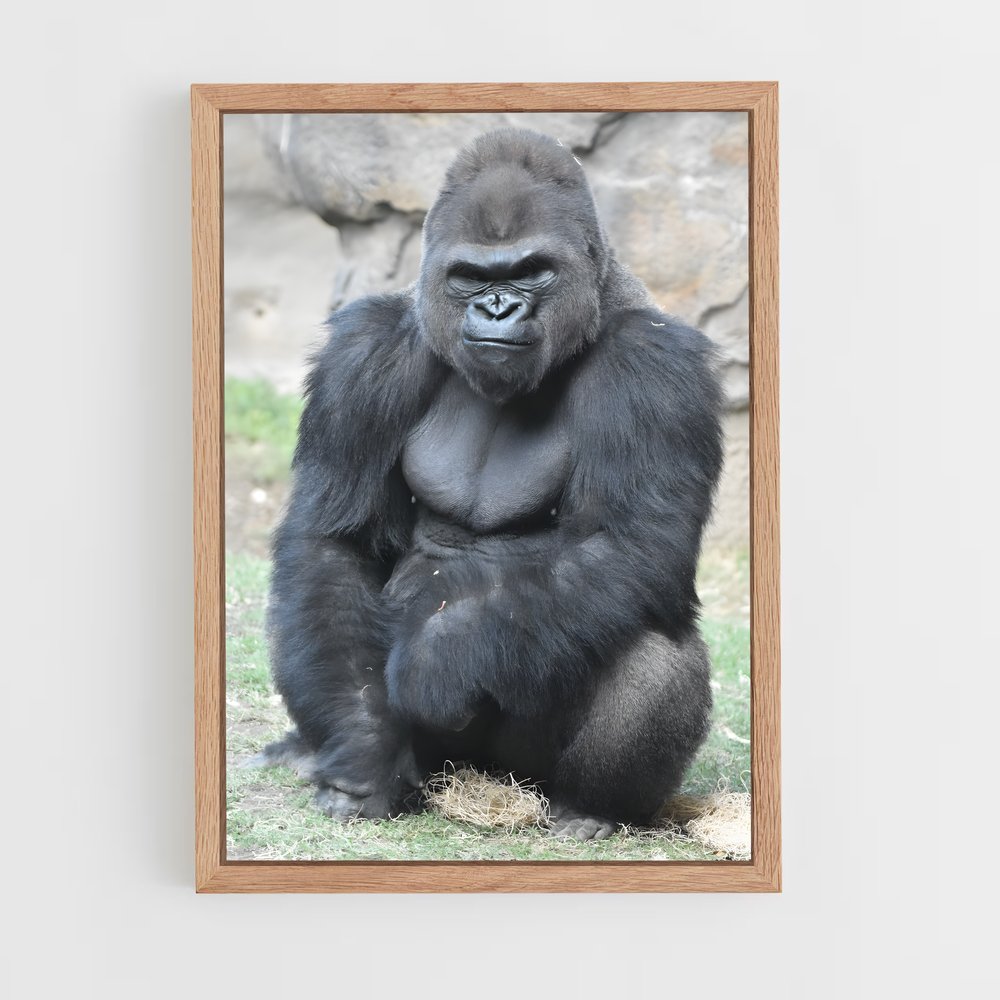 gorilla-1 cadre Bois clair